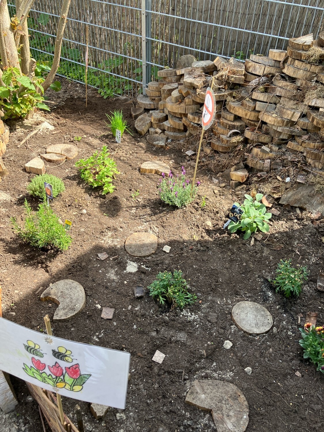 Kita Am Schulzentrum_Bienen-Forscherkids_Kräutergarten