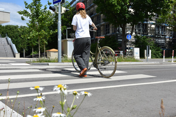 Zebrastreifen