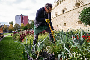 Bild vergrößern: Lauchernte vor dem Reduit Tilly im Klenzepark