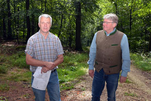 Bild vergrößern: Forstamtsleiter Hubert Krenzler und Umweltreferent Rupert Ebner informierten über den Zustand des städtischen Walds