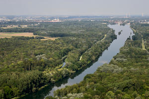 Bild vergrößern: Die Donauauen