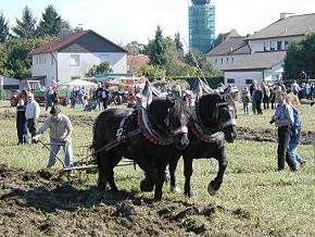 Foto: Kurt Scheuerer