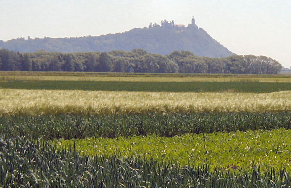 Bogenberg in Niederbayern. Foto: Kurt Scheuerer