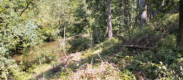 Blick vom Wall aus auf den Karlsgraben. Foto: Kurt Scheuerer