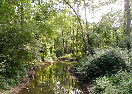 Ludl. Foto: Kurt Scheuerer