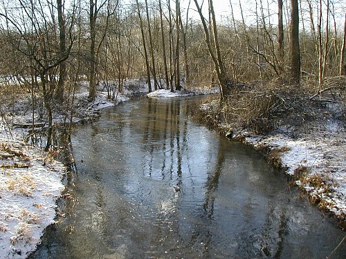 Ludlgraben. Foto: Kurt Scheuerer