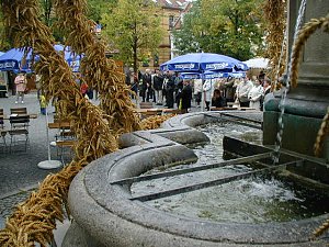 Herbstdult. Foto: Kurt Scheuerer