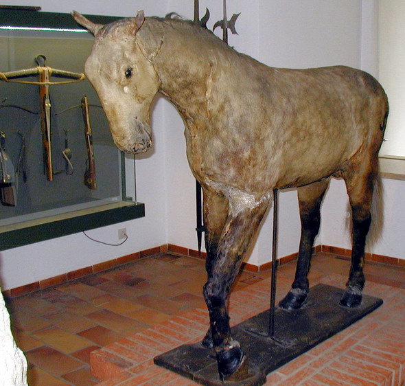 Stadtmuseum Ingolstadt. Foto: Kurt Scheuerer